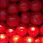 помидоры ( томаты ) оптом с поля в Астрахани 3