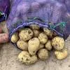 картофель оптом от производителя  в Астрахани и Астраханской области 3
